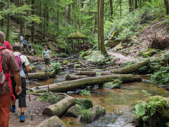 Karlstalschlucht Trippstadt 
23. Juli 2023